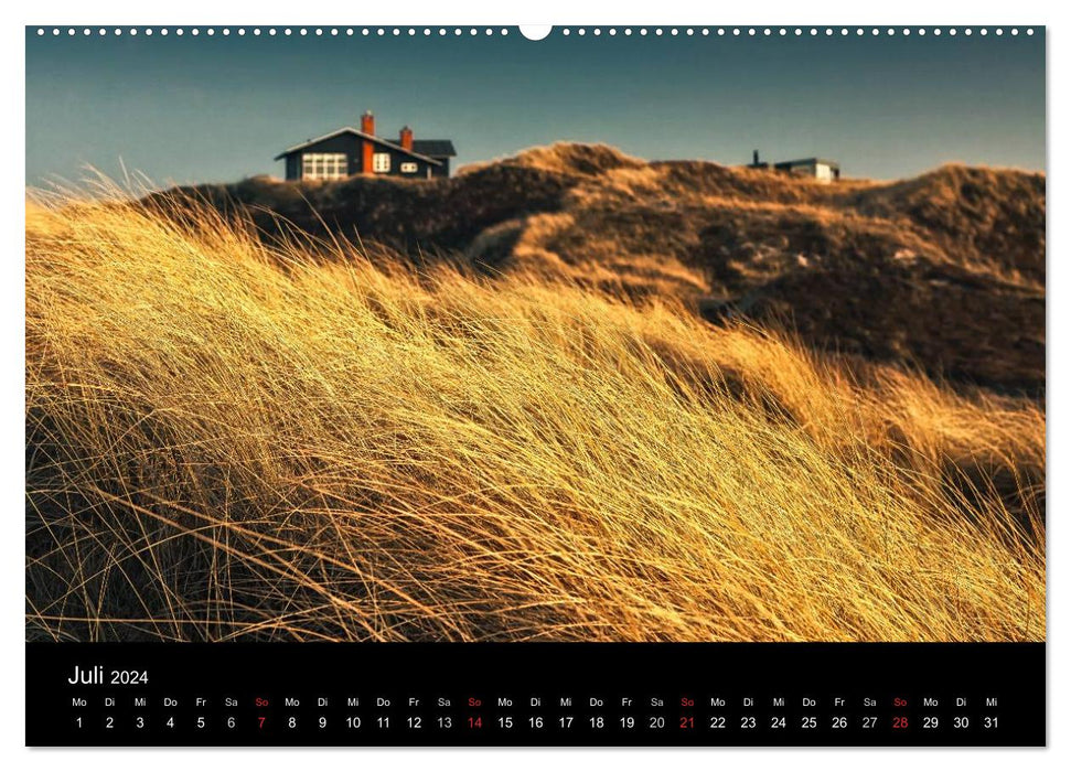 Jutland's West Coast (CALVENDO Premium Wall Calendar 2024) 