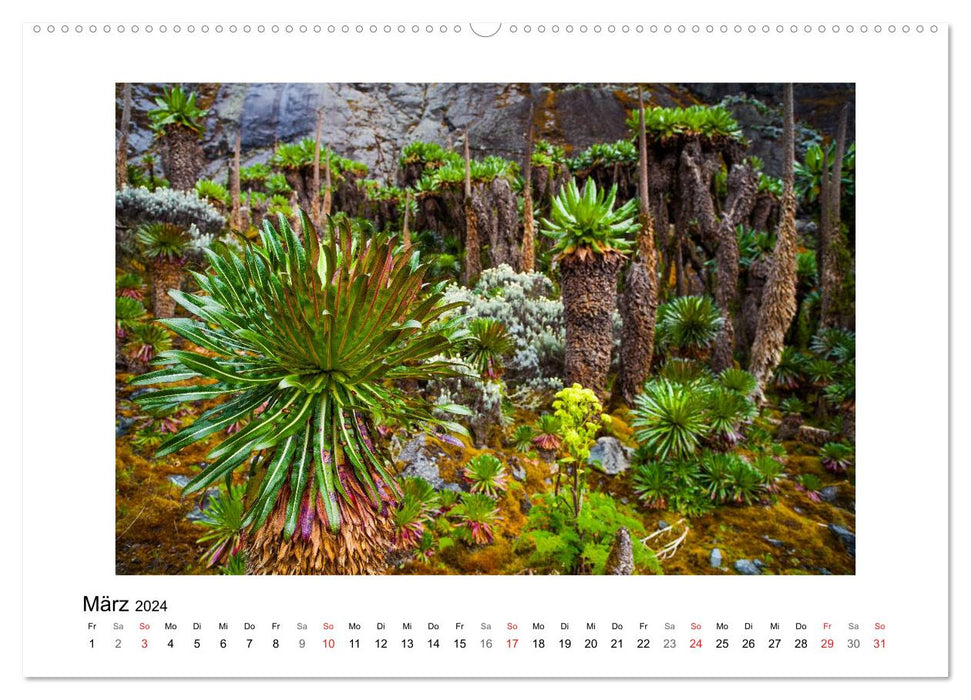 Ruwenzori (CALVENDO Wandkalender 2024)