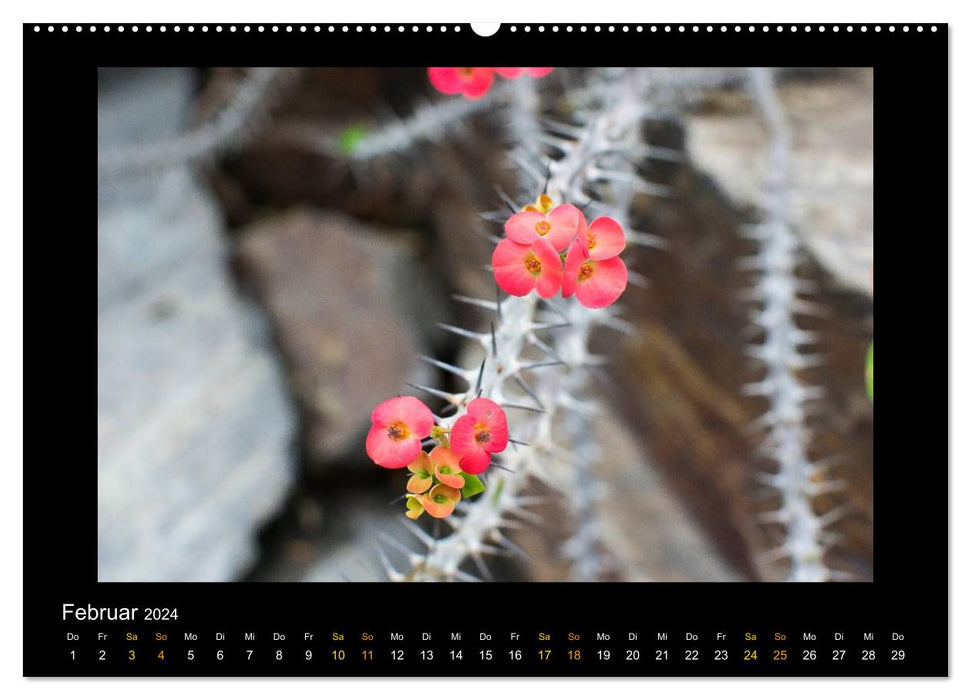 Blumen (CALVENDO Premium Wandkalender 2024)