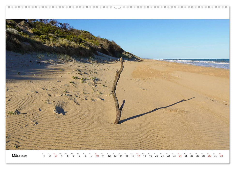 Traumstrände Australiens (CALVENDO Premium Wandkalender 2024)