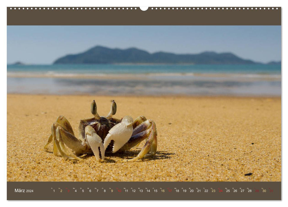 Australiens Tierwelt - Auge in Auge (CALVENDO Premium Wandkalender 2024)