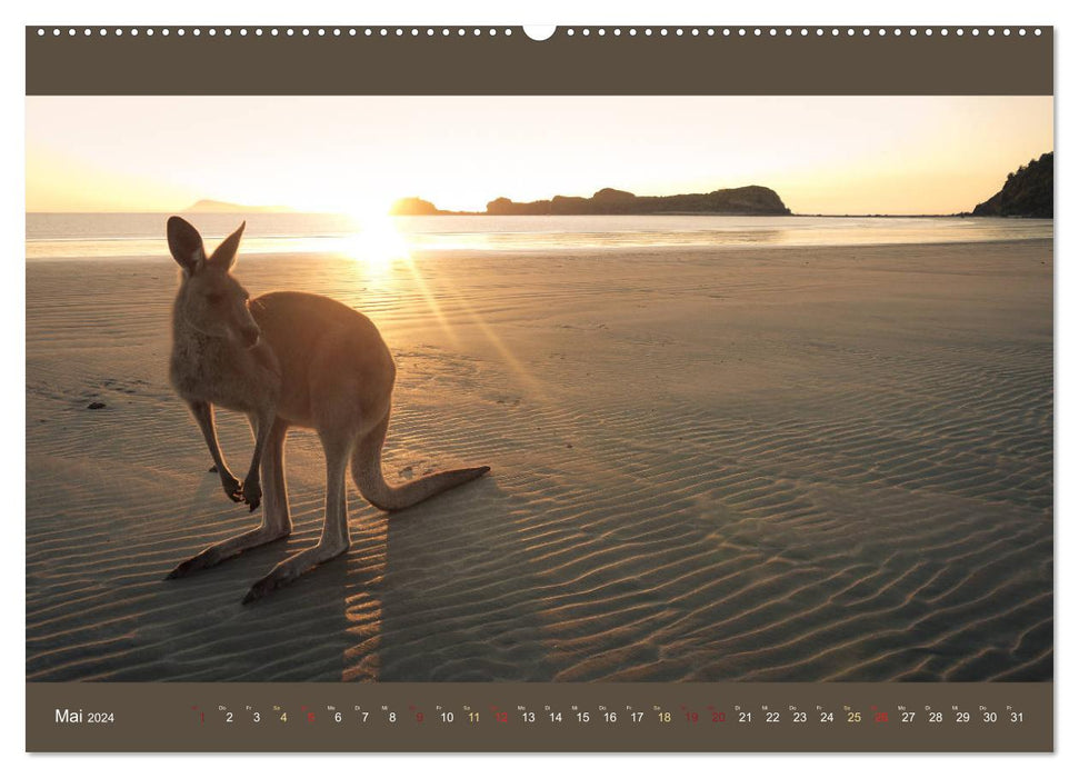 Australiens Tierwelt - Auge in Auge (CALVENDO Premium Wandkalender 2024)