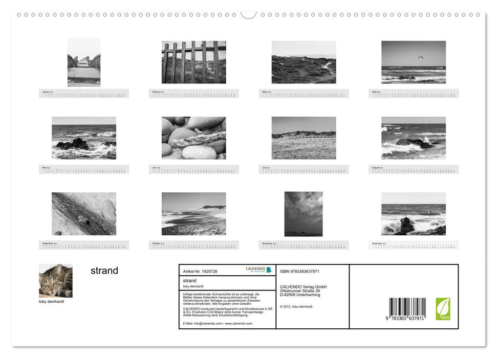 Strand (CALVENDO Premium Wandkalender 2024)