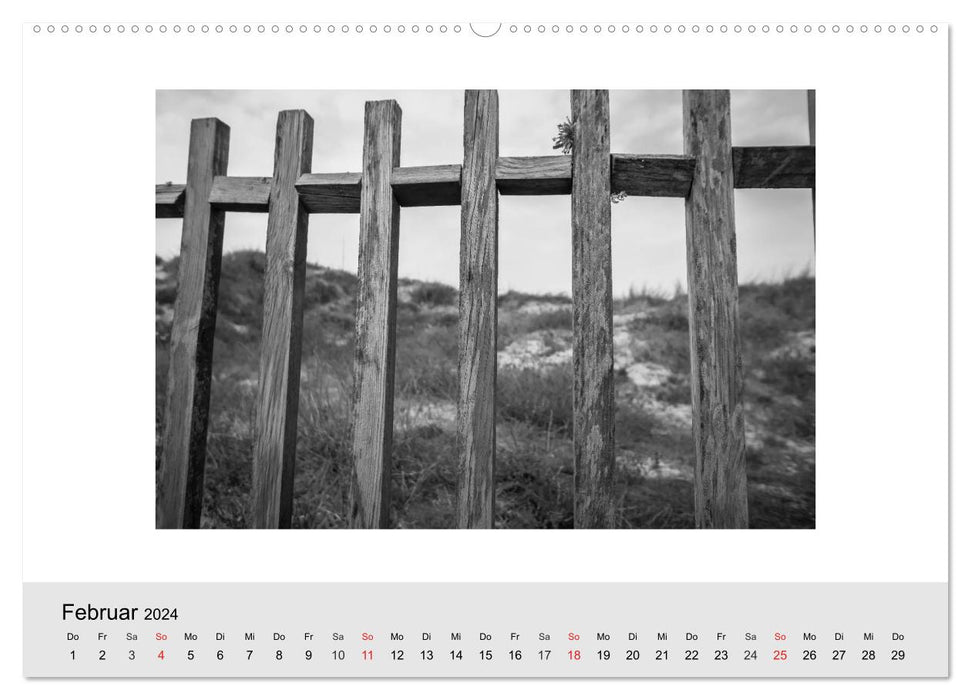 Strand (CALVENDO Premium Wandkalender 2024)