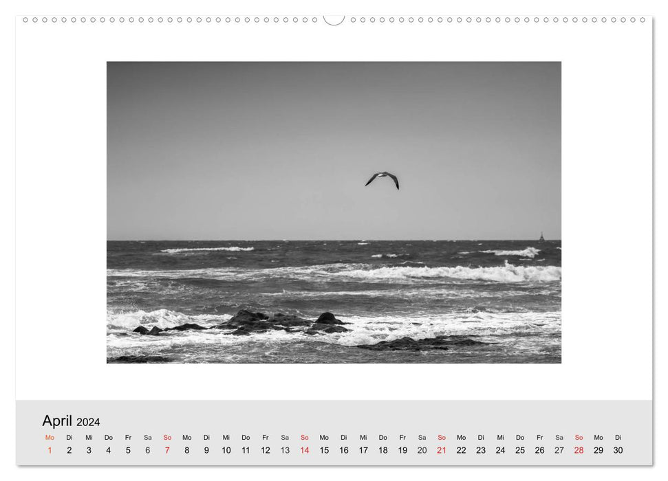 Strand (CALVENDO Premium Wandkalender 2024)