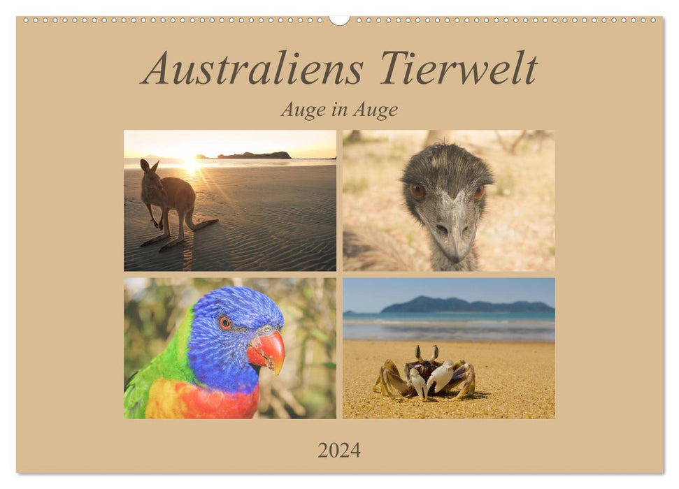 Australiens Tierwelt - Auge in Auge (CALVENDO Wandkalender 2024)