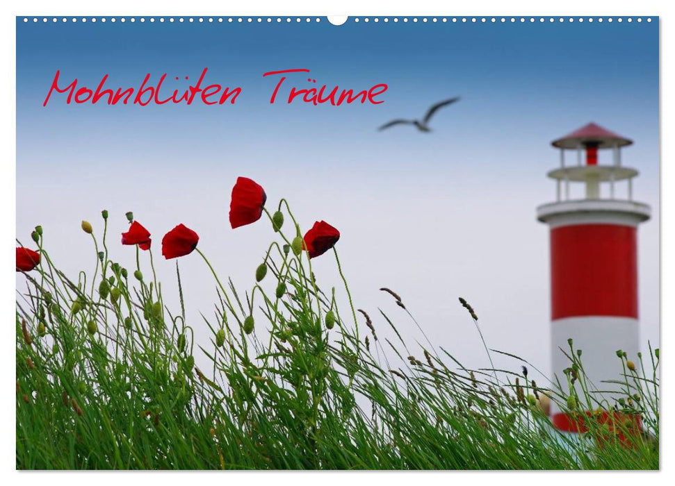 Mohnblumen Träume (CALVENDO Wandkalender 2024)