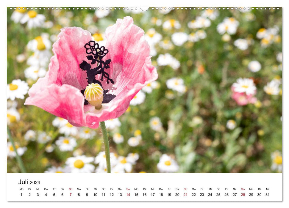 Im Bann der Mohnblüten (CALVENDO Premium Wandkalender 2024)
