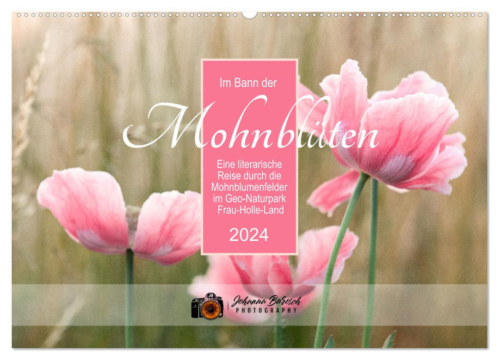 Im Bann der Mohnblüten (CALVENDO Wandkalender 2024)