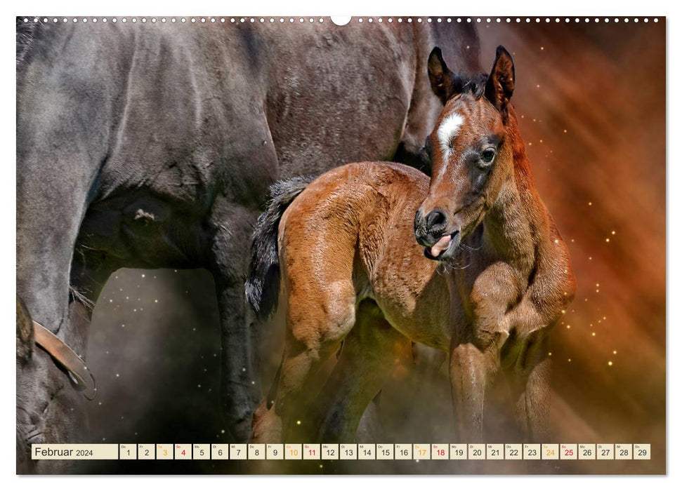 Eleganz und Schönheit - Pferde (CALVENDO Premium Wandkalender 2024)