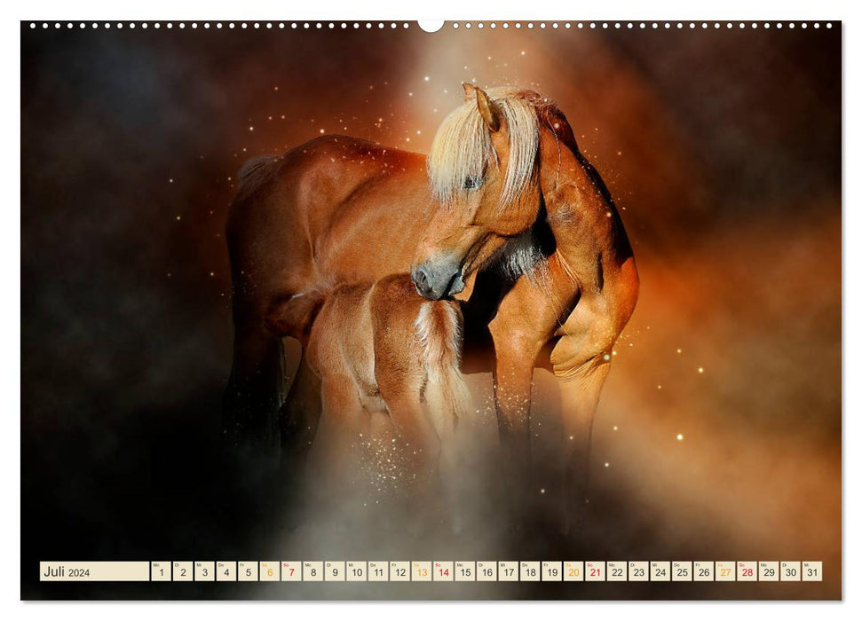 Eleganz und Schönheit - Pferde (CALVENDO Premium Wandkalender 2024)
