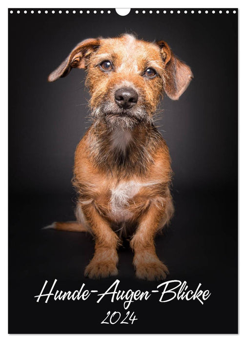 Hunde-Augen-Blicke (CALVENDO Wandkalender 2024)