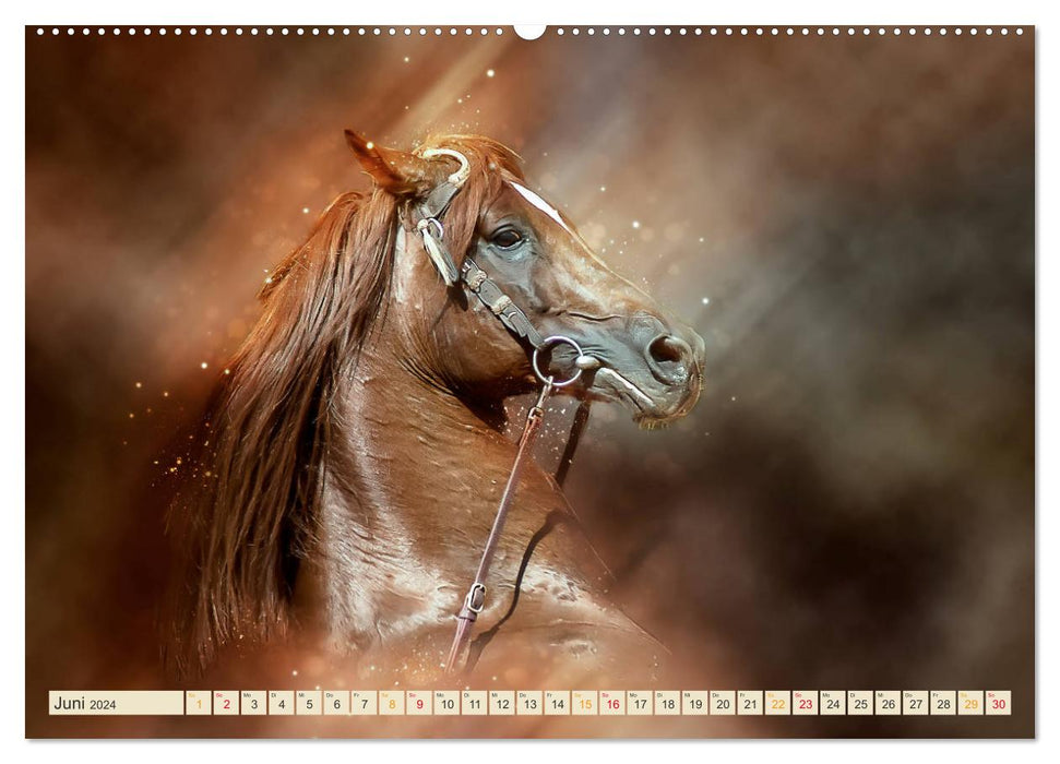 Eleganz und Schönheit - Pferde (CALVENDO Wandkalender 2024)