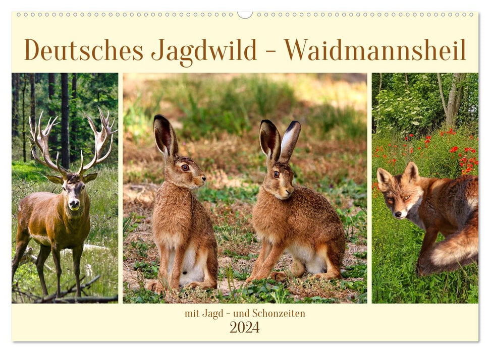 Deutsches Jagdwild - Waidmannsheil (CALVENDO Wandkalender 2024)