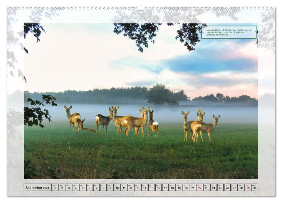 German hunting game - Waidmannsheil (CALVENDO wall calendar 2024) 