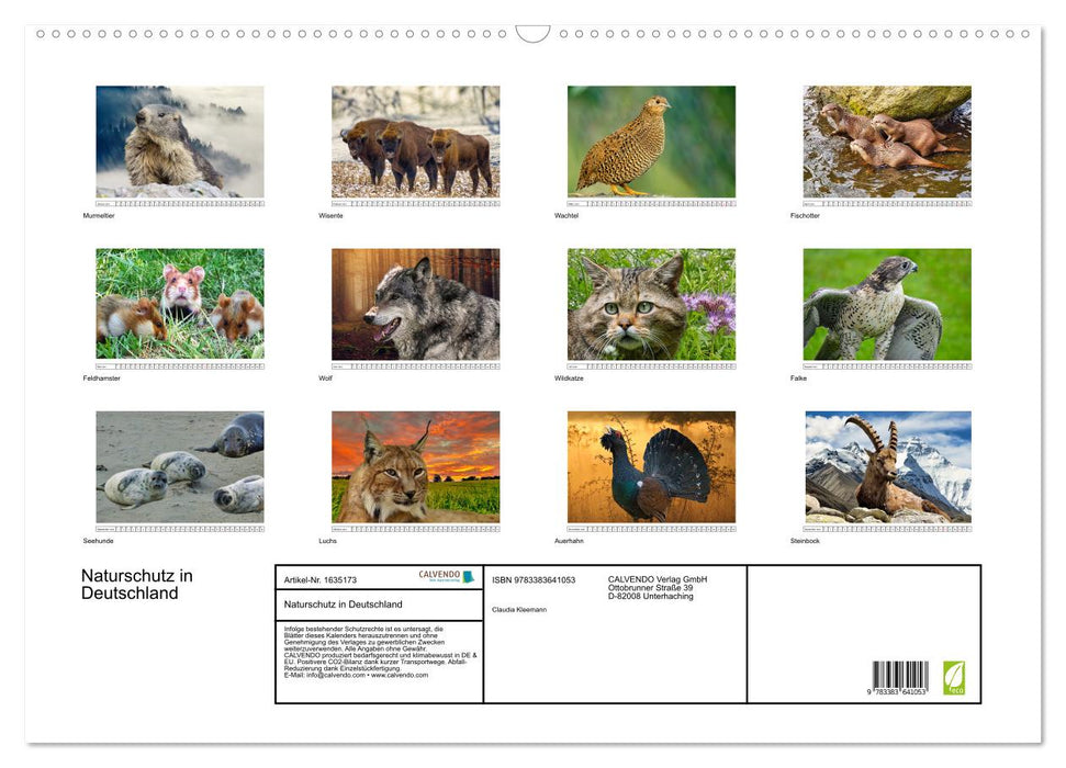 Nature conservation in Germany (CALVENDO wall calendar 2024) 