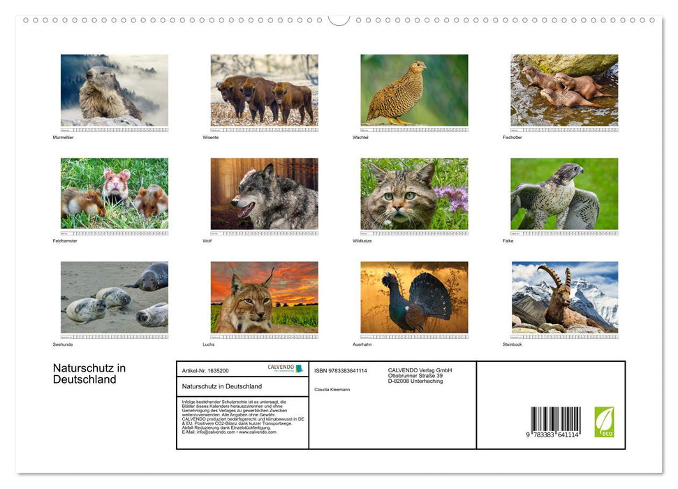 Nature conservation in Germany (CALVENDO Premium Wall Calendar 2024) 