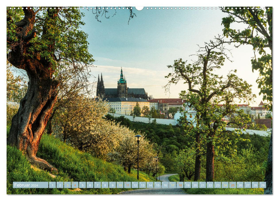 Spring in Prague (CALVENDO Premium Wall Calendar 2024) 