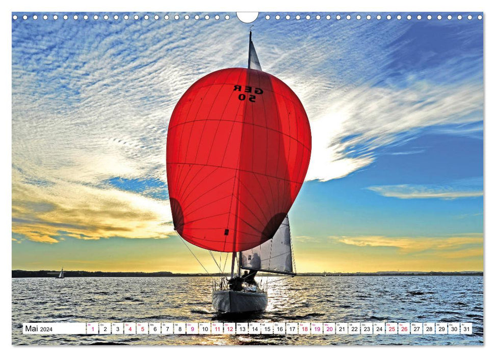 Passion Sailing (CALVENDO Wall Calendar 2024) 