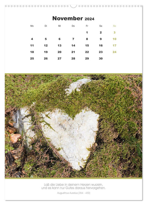 Attractive heart motifs 2024 (CALVENDO Premium Wall Calendar 2024) 