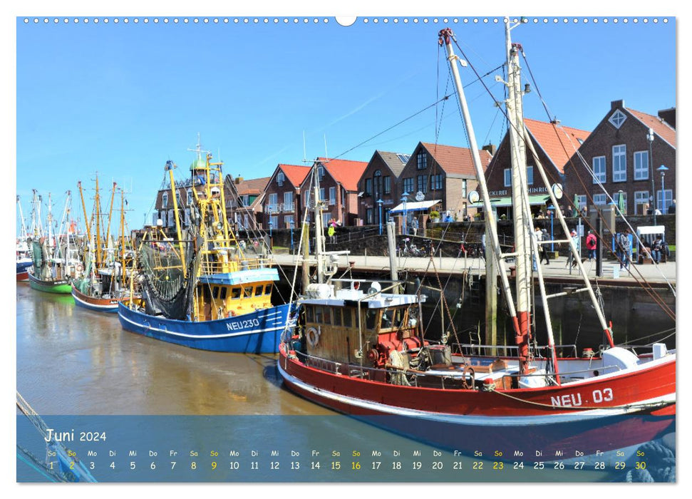 North Sea shrimp boat (CALVENDO wall calendar 2024) 