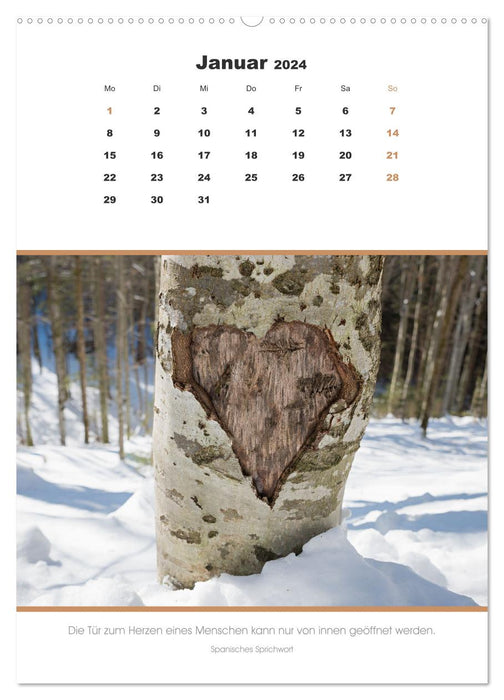 Attractive heart motifs 2024 (CALVENDO wall calendar 2024) 
