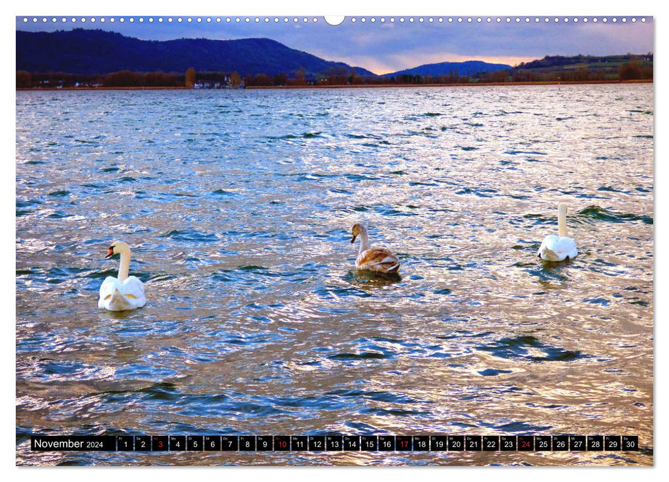 Winter on Lake Constance – Magical rays of hope (CALVENDO Premium Wall Calendar 2024) 