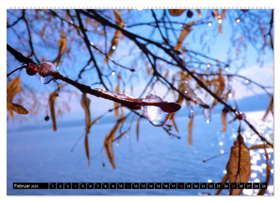 Winter on Lake Constance – Magical rays of hope (CALVENDO Premium Wall Calendar 2024) 