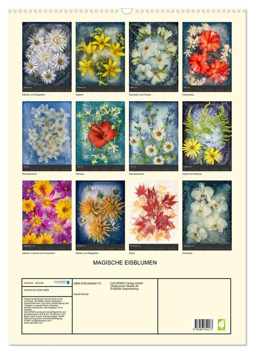 Magical ice flowers (CALVENDO wall calendar 2024) 