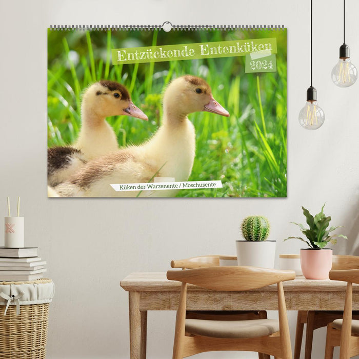 Adorable ducklings (CALVENDO wall calendar 2024) 