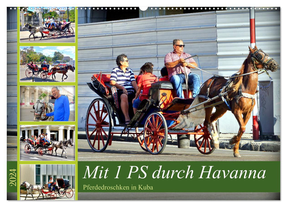 With 1 HP through Havana - horse-drawn cabs in Cuba (CALVENDO wall calendar 2024) 