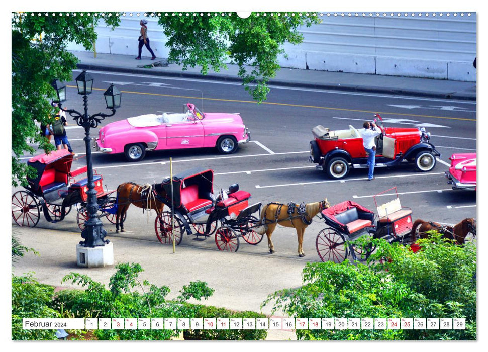 Mit 1 PS durch Havanna - Pferdedroschken in Kuba (CALVENDO Wandkalender 2024)