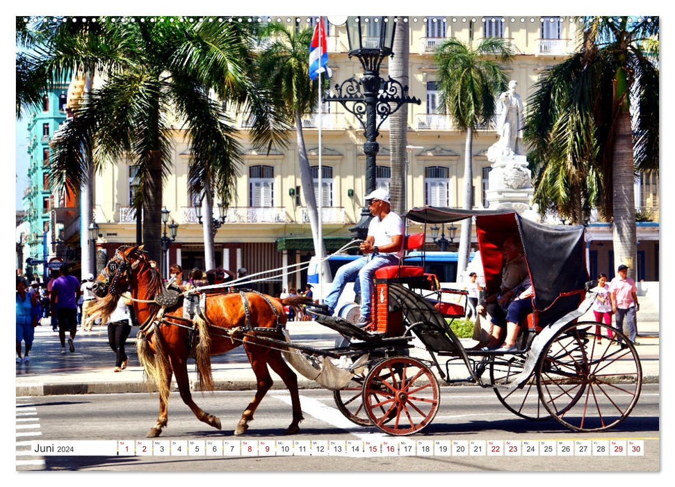 Mit 1 PS durch Havanna - Pferdedroschken in Kuba (CALVENDO Wandkalender 2024)
