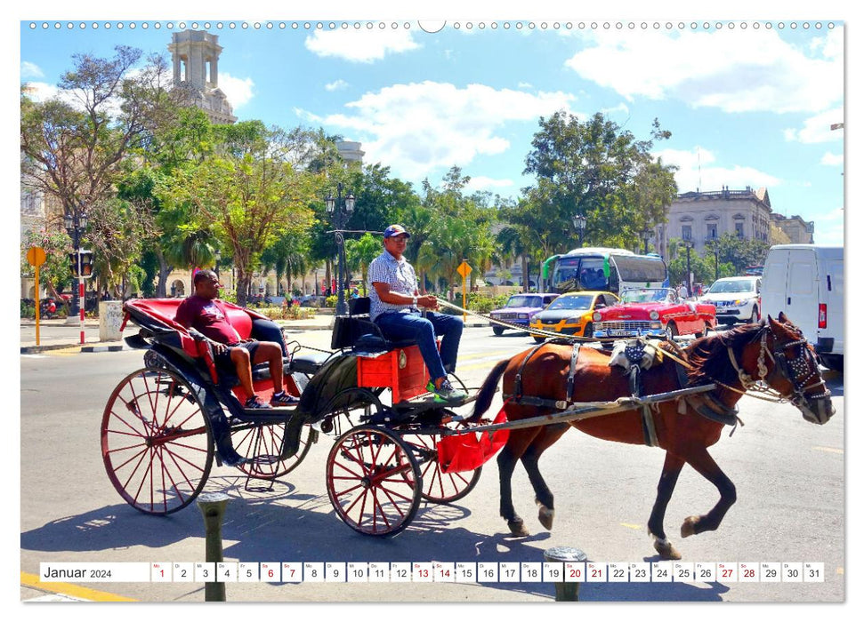 Mit 1 PS durch Havanna - Pferdedroschken in Kuba (CALVENDO Premium Wandkalender 2024)
