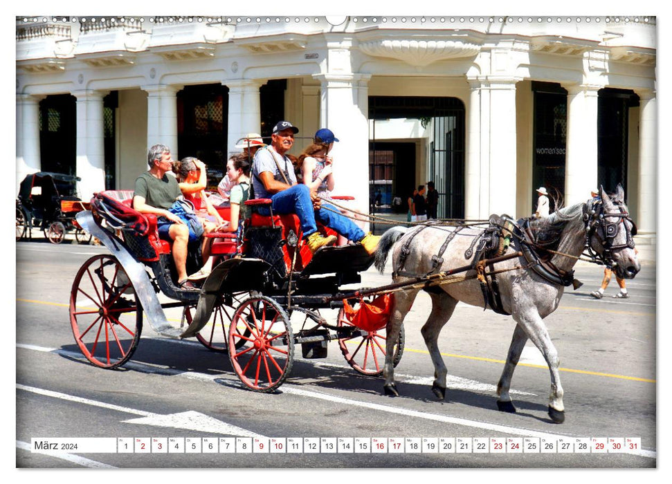 With 1 HP through Havana - horse-drawn cabs in Cuba (CALVENDO Premium Wall Calendar 2024) 
