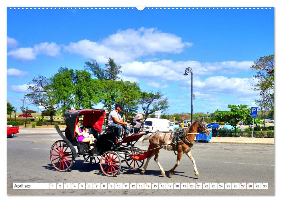 Mit 1 PS durch Havanna - Pferdedroschken in Kuba (CALVENDO Premium Wandkalender 2024)