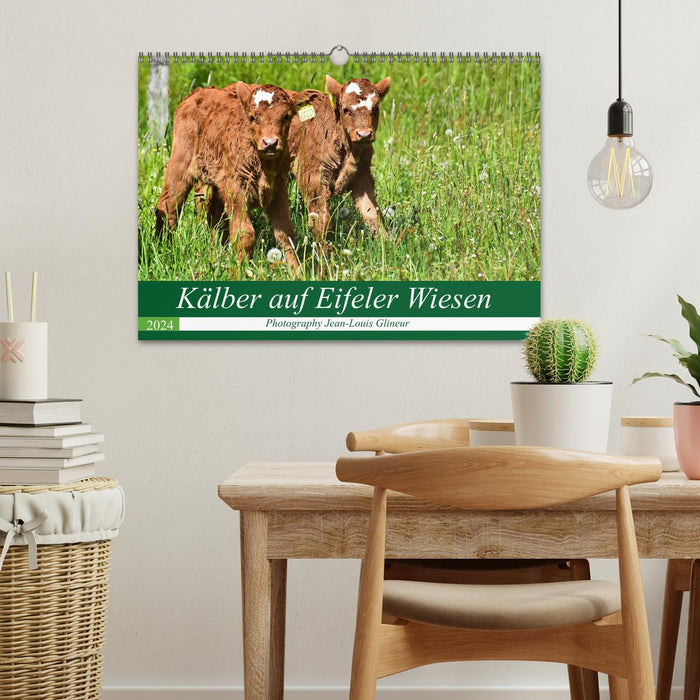 Calves on Eifel meadows (CALVENDO wall calendar 2024) 