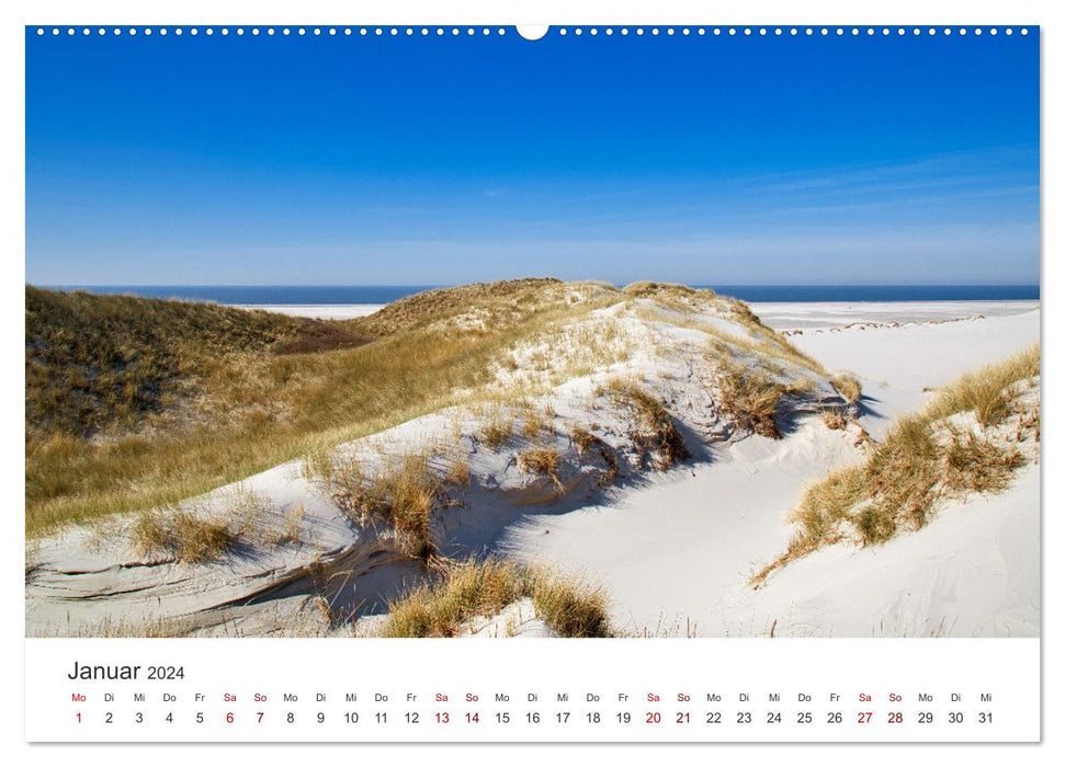 Amrum - Perle der Nordsee (CALVENDO Premium Wandkalender 2024)