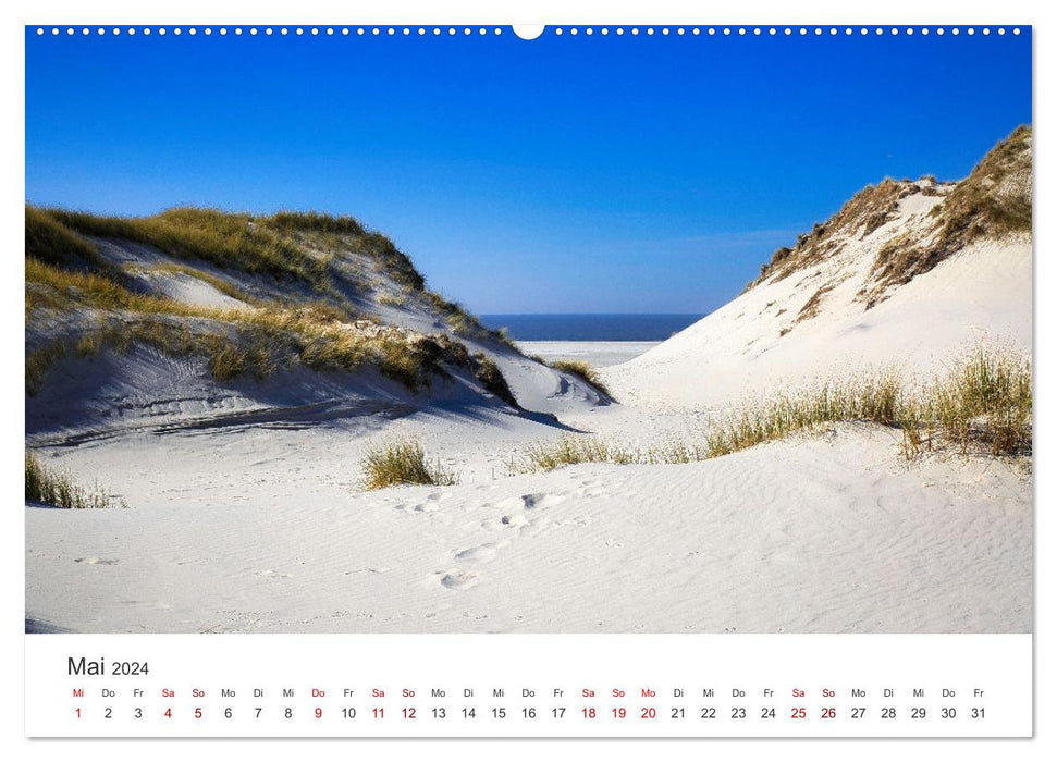 Amrum - Pearl of the North Sea (CALVENDO Premium Wall Calendar 2024) 