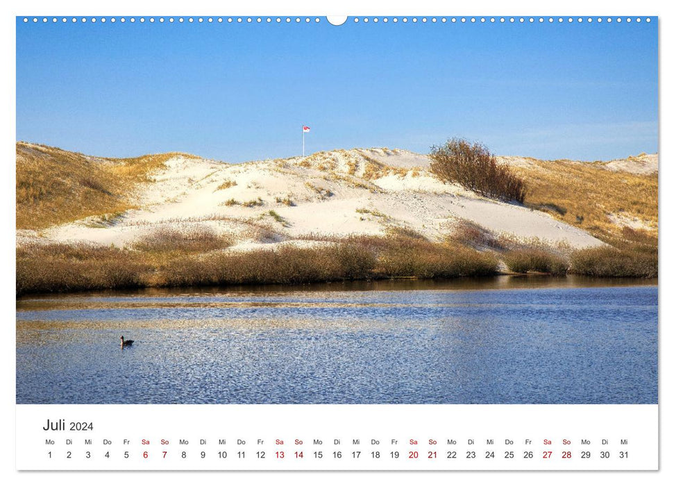 Amrum - Perle der Nordsee (CALVENDO Premium Wandkalender 2024)