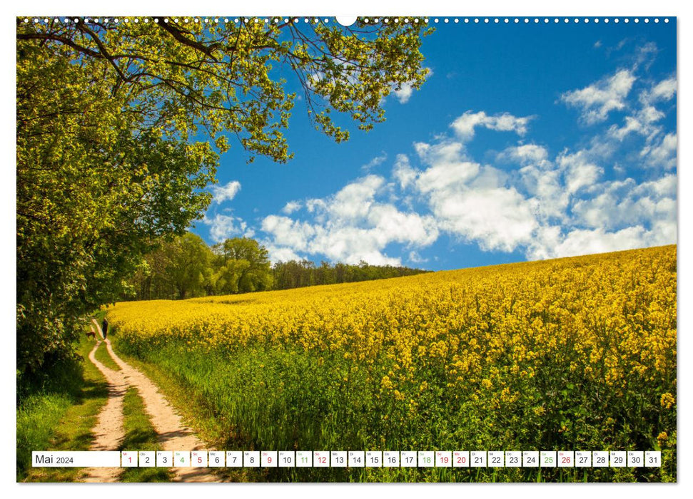 My colorful Mecklenburg (CALVENDO wall calendar 2024) 
