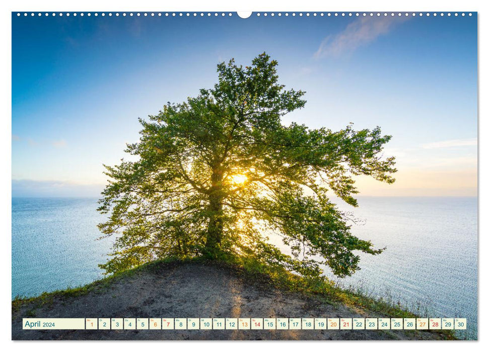 Rügen Island - Picturesque Chalk Coast (CALVENDO Premium Wall Calendar 2024) 