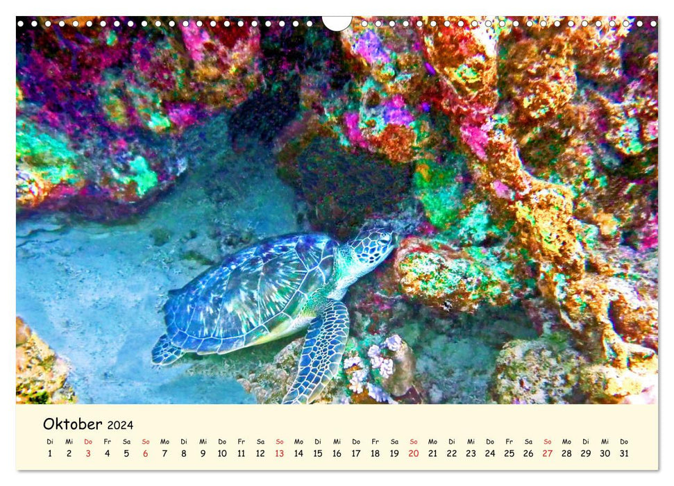 Sea Turtles - Endangered Beauties (CALVENDO Wall Calendar 2024) 