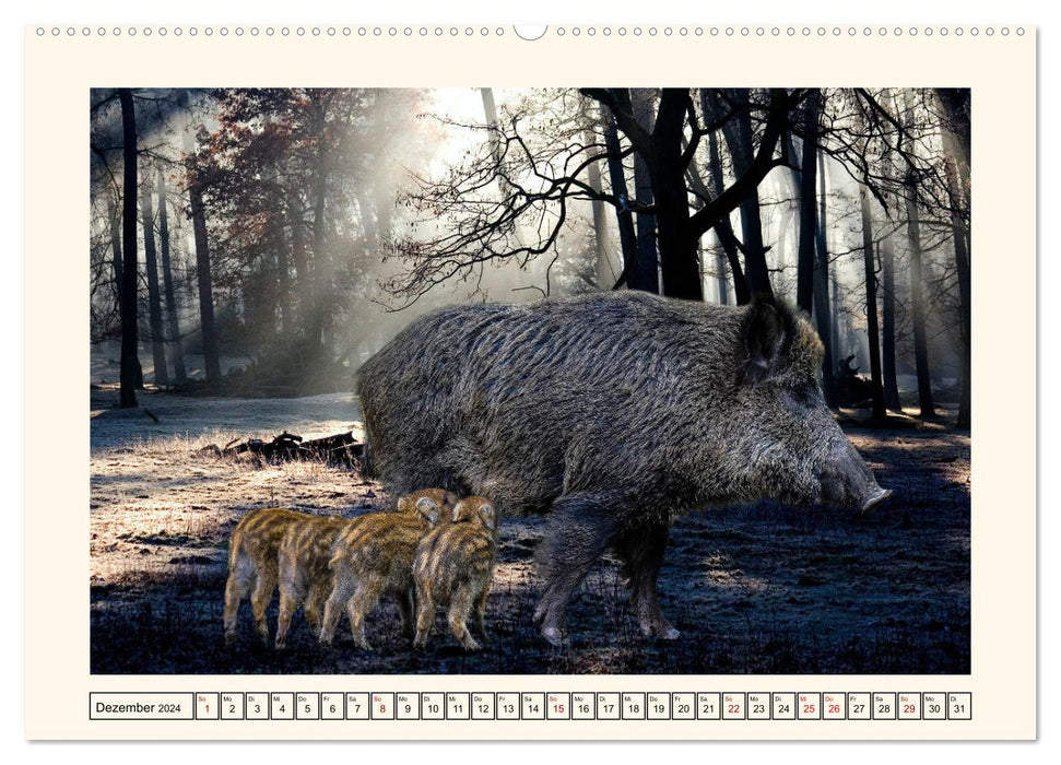 Animal messes (CALVENDO Premium Wall Calendar 2024) 