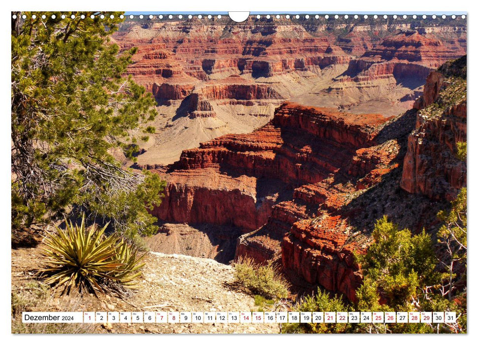 Grand Canyon, National Park (CALVENDO wall calendar 2024) 