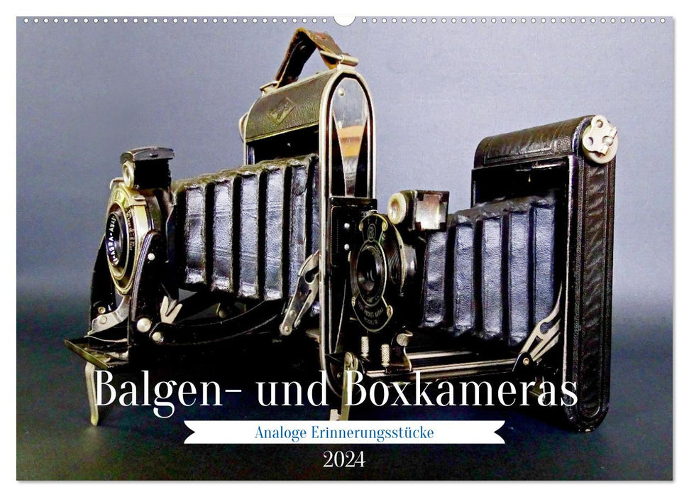 Balgen- und Boxkameras - Analoge Erinnerungsstücke (CALVENDO Wandkalender 2024)