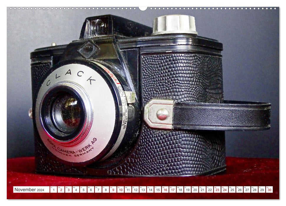 Bellows and box cameras - analog memorabilia (CALVENDO wall calendar 2024) 