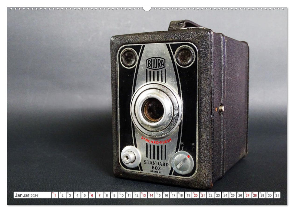 Bellows and box cameras - analog memorabilia (CALVENDO wall calendar 2024) 