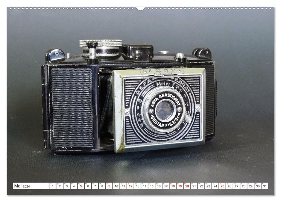 Bellows and box cameras - analog memorabilia (CALVENDO wall calendar 2024) 