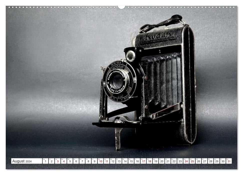 Bellows and box cameras - analog memorabilia (CALVENDO wall calendar 2024) 